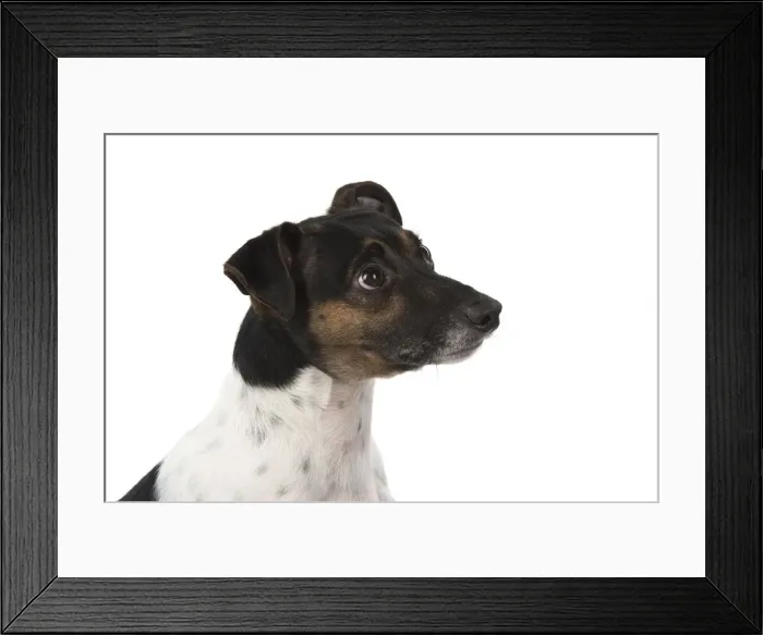 Framed Print : Picture No. 12019605 Framed Print : Picture No. 12019605