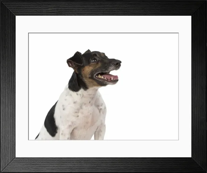Framed Print : Picture No. 12019607 Framed Print : Picture No. 12019607
