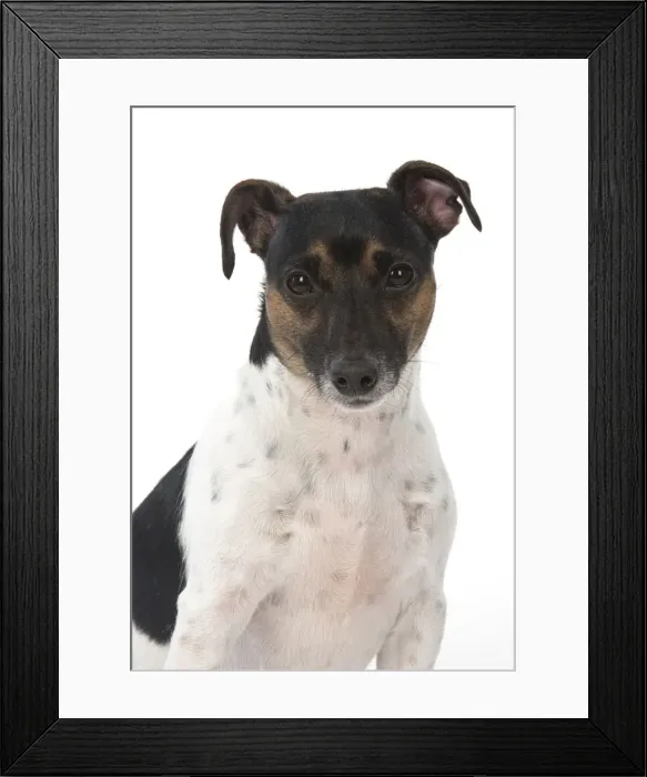 Framed Print : Picture No. 12019608 Framed Print : Picture No. 12019608