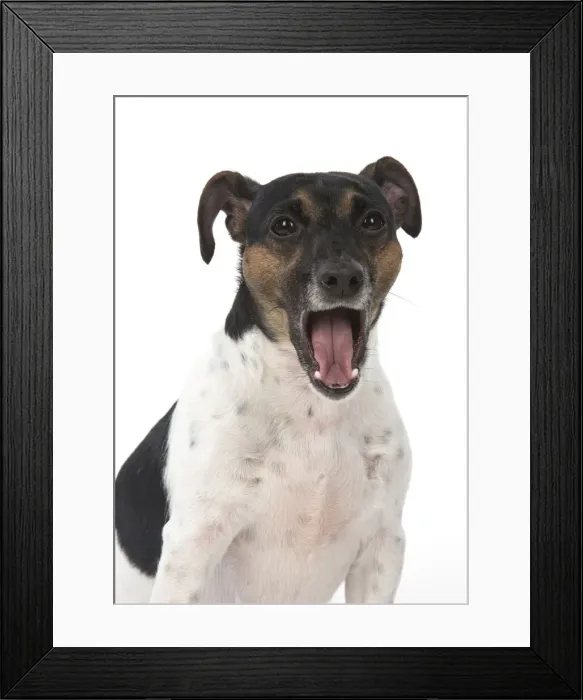 Framed Print : Picture No. 12019609 Framed Print : Picture No. 12019609