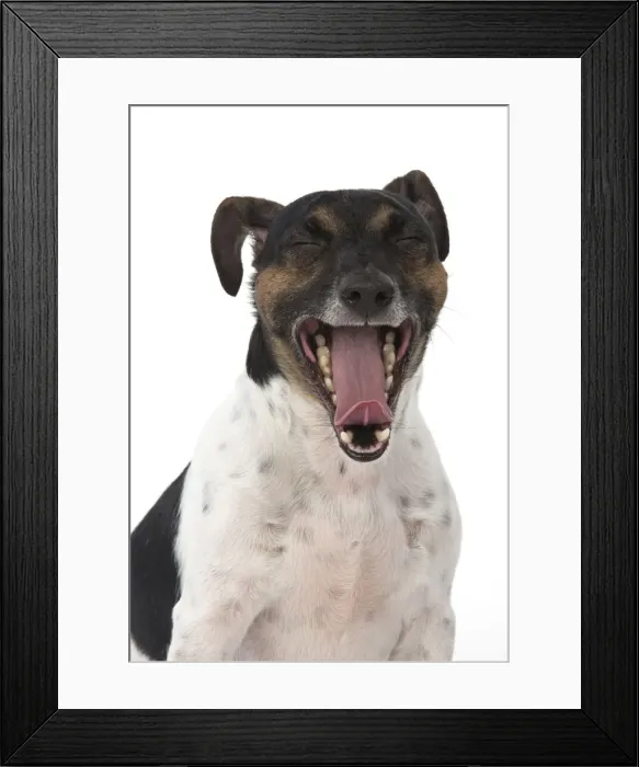 Framed Print : Picture No. 12019610 Framed Print : Picture No. 12019610