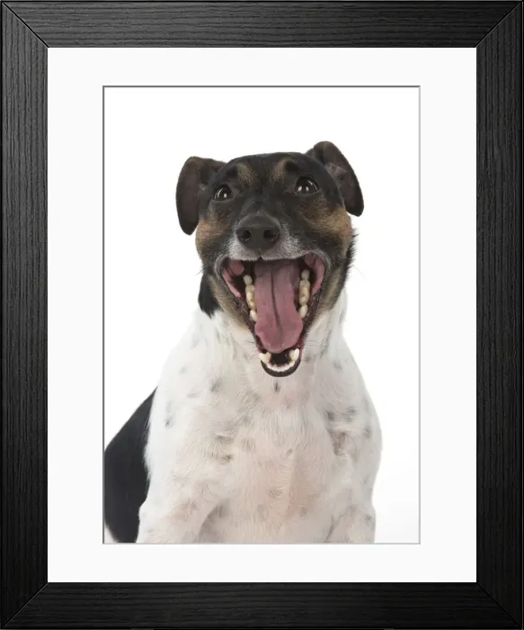 Framed Print : Picture No. 12019611 Framed Print : Picture No. 12019611