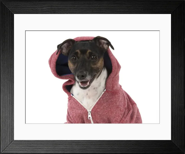 Framed Print : Picture No. 12019612 Framed Print : Picture No. 12019612