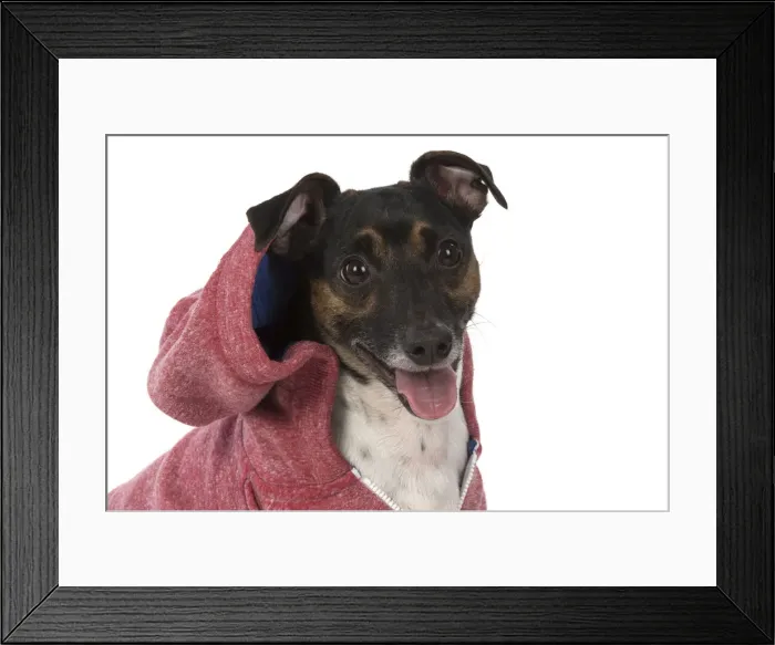 Framed Print : Picture No. 12019613 Framed Print : Picture No. 12019613