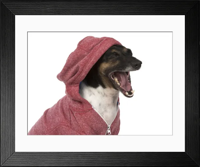 Framed Print : Picture No. 12019614 Framed Print : Picture No. 12019614