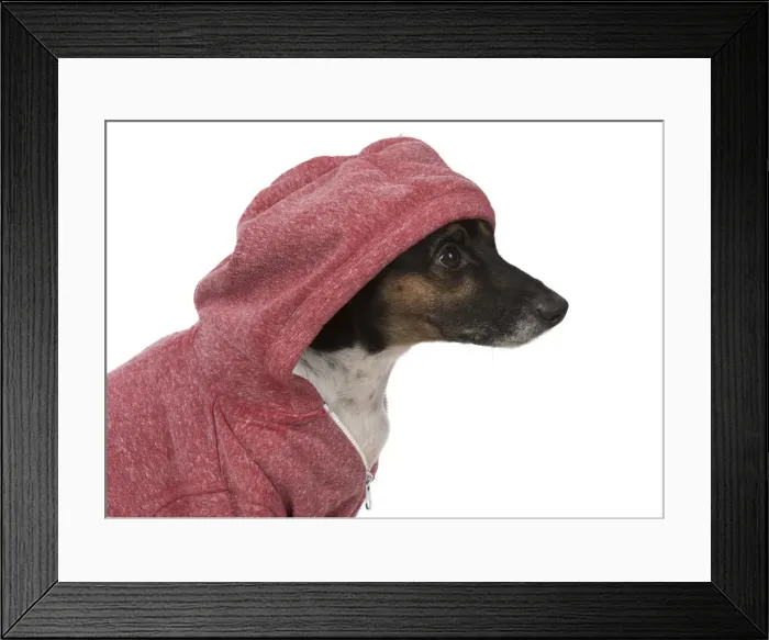 Framed Print : Picture No. 12019615 Framed Print : Picture No. 12019615