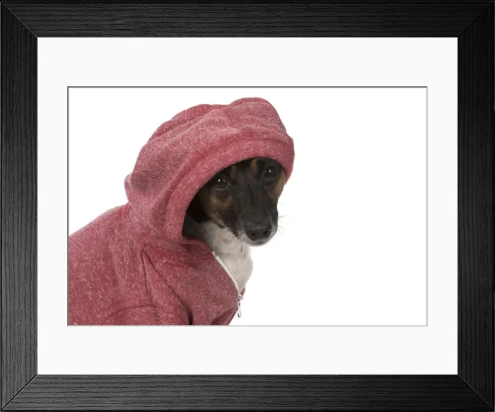 Framed Print : Picture No. 12019616 Framed Print : Picture No. 12019616