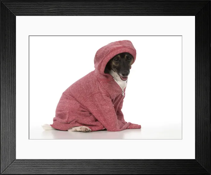 Framed Print : Picture No. 12019617 Framed Print : Picture No. 12019617