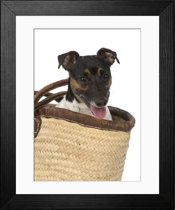 Framed Print : Picture No. 12019618 Framed Print : Picture No. 12019618