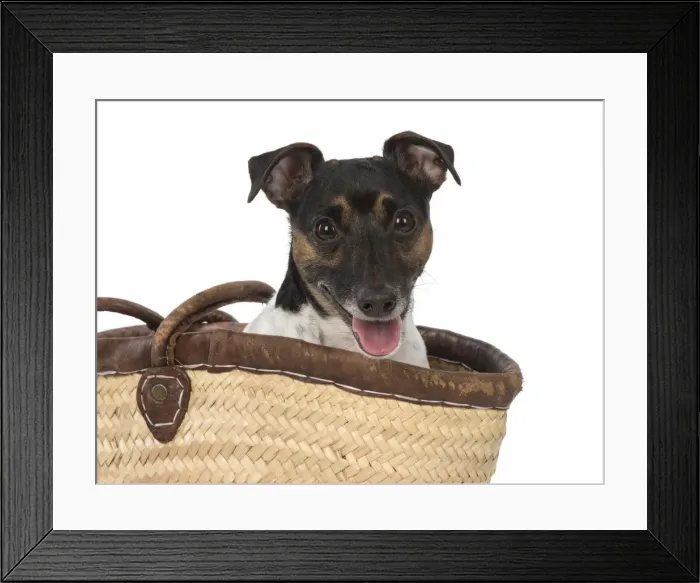 Framed Print : Picture No. 12019619 Framed Print : Picture No. 12019619