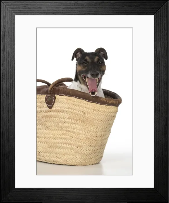 Framed Print : Picture No. 12019621 Framed Print : Picture No. 12019621