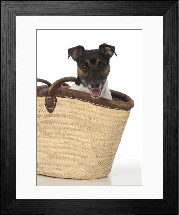 Framed Print : Picture No. 12019620 Framed Print : Picture No. 12019620
