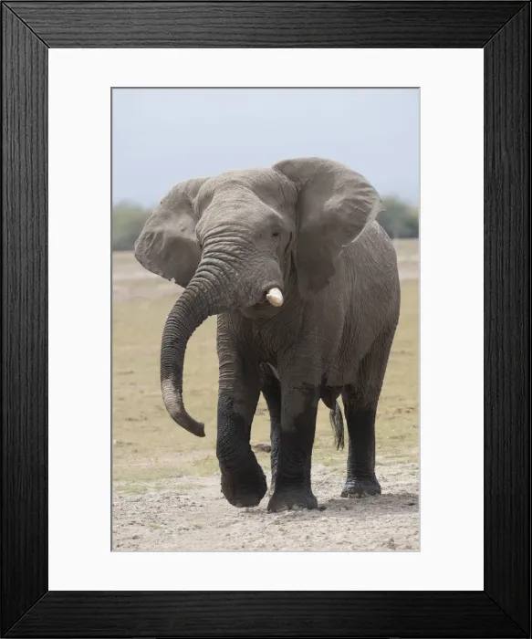 Framed Print : Picture No. 12019625 Framed Print : Picture No. 12019625