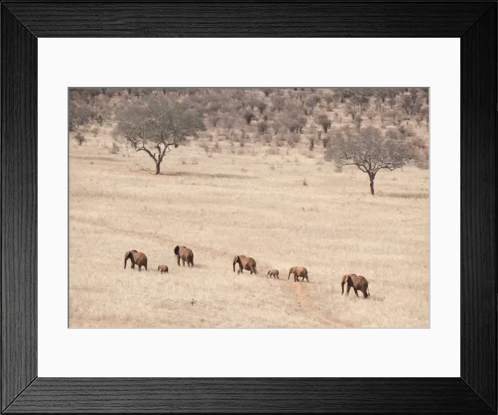 Framed Print : Picture No. 12019628 Framed Print : Picture No. 12019628