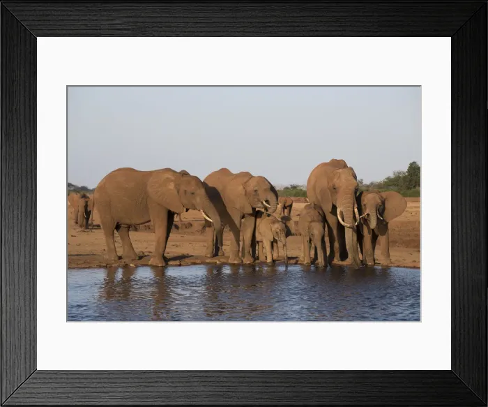 Framed Print : Picture No. 12019629 Framed Print : Picture No. 12019629