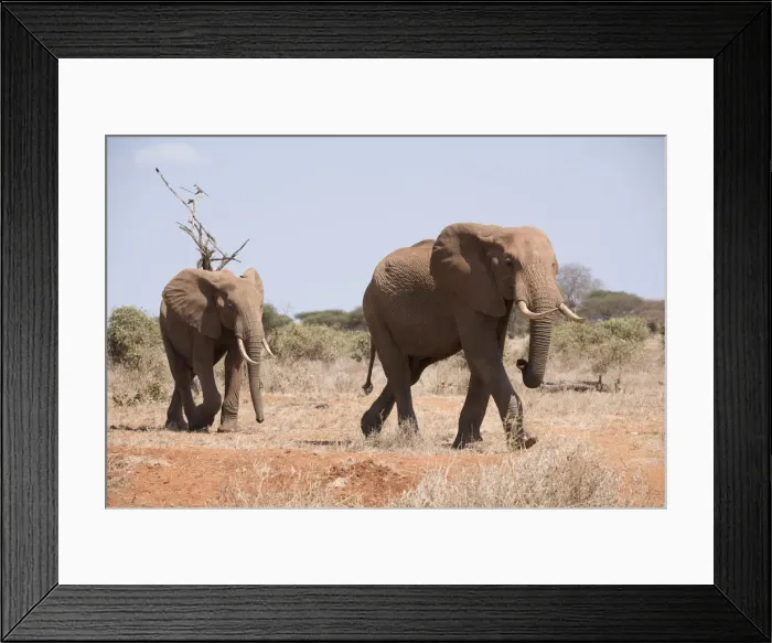 Framed Print : Picture No. 12019630 Framed Print : Picture No. 12019630