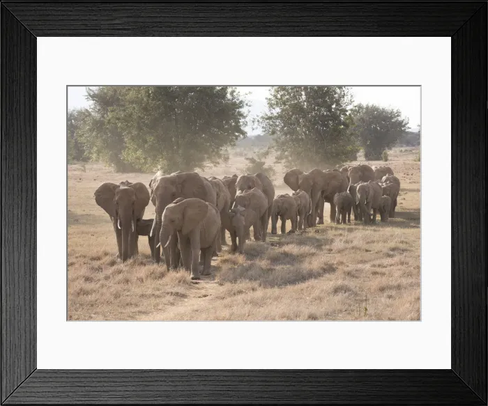 Framed Print : Picture No. 12019632 Framed Print : Picture No. 12019632