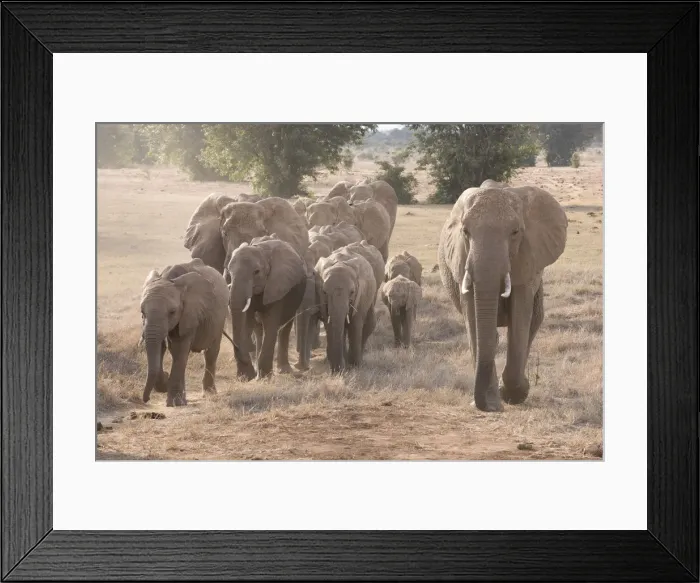Framed Print : Picture No. 12019633 Framed Print : Picture No. 12019633