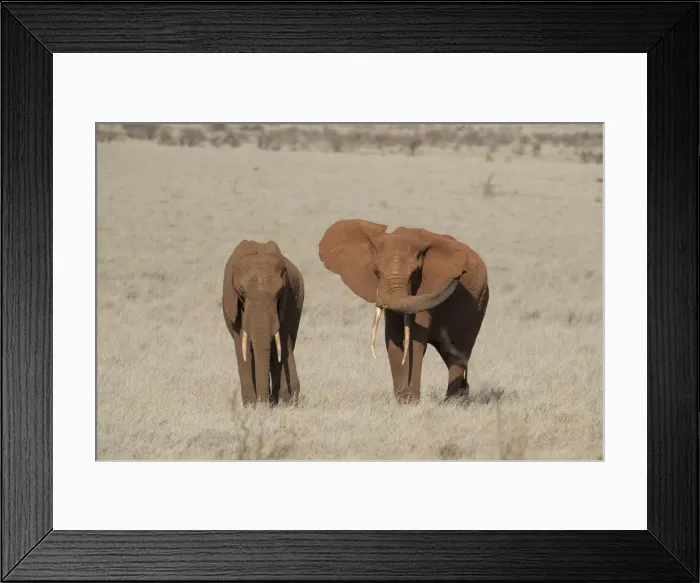 Framed Print : Picture No. 12019638 Framed Print : Picture No. 12019638
