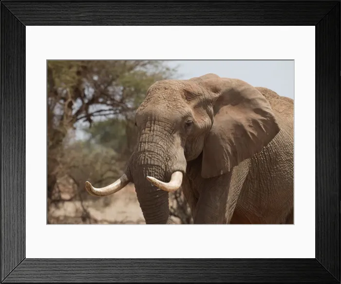 Framed Print : Picture No. 12019640 Framed Print : Picture No. 12019640