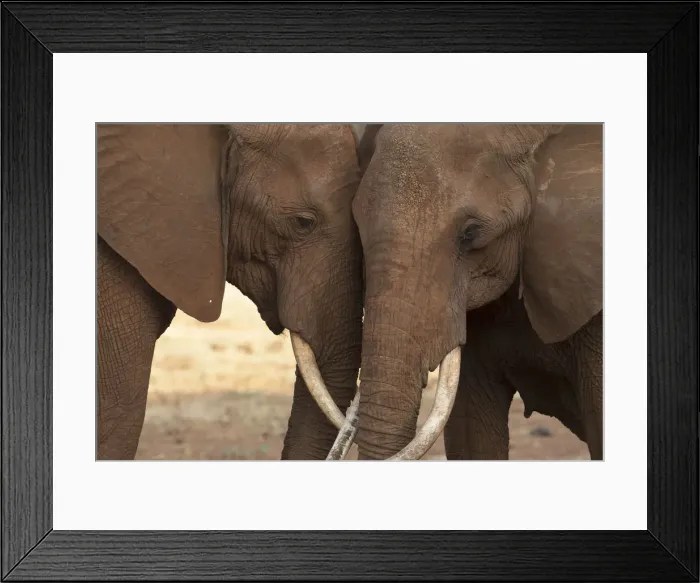 Framed Print : Picture No. 12019641 Framed Print : Picture No. 12019641