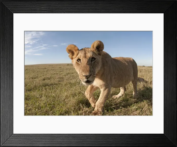 Framed Print : Picture No. 12019645 Framed Print : Picture No. 12019645