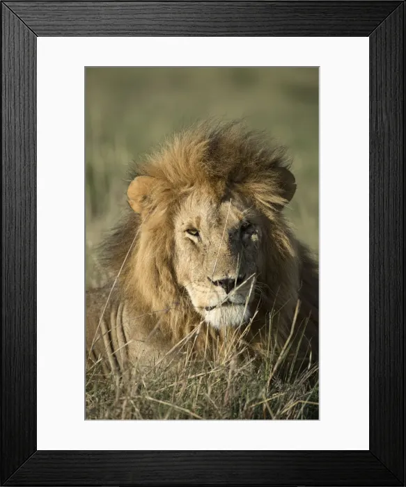Framed Print : Picture No. 12019649 Framed Print : Picture No. 12019649
