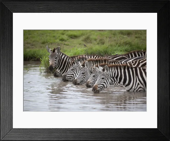 Framed Print : Picture No. 12019657 Framed Print : Picture No. 12019657