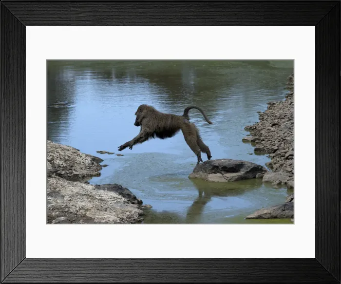 Framed Print : Picture No. 12019667 Framed Print : Picture No. 12019667