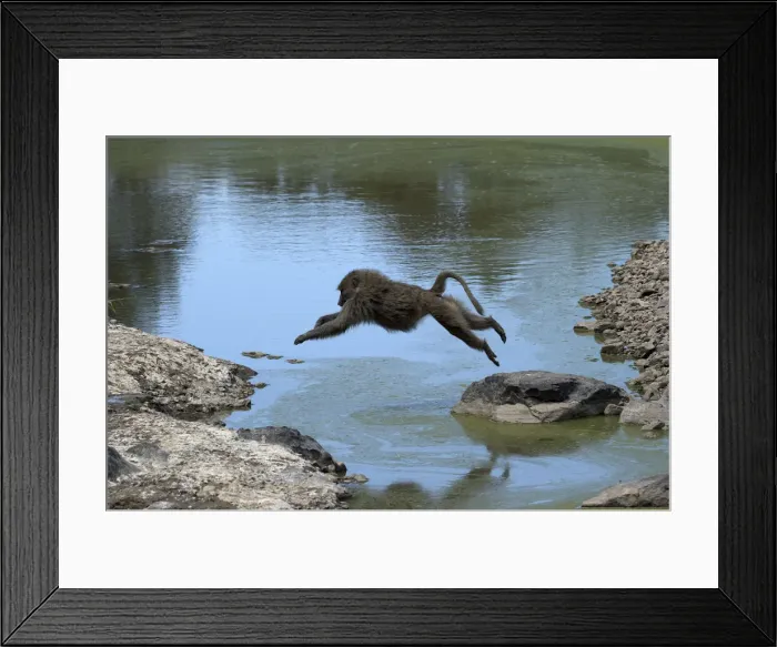 Framed Print : Picture No. 12019668 Framed Print : Picture No. 12019668