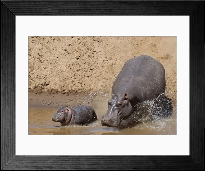 Framed Print : Picture No. 12019671 Framed Print : Picture No. 12019671