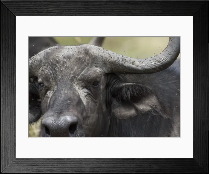 Framed Print : Picture No. 12019672 Framed Print : Picture No. 12019672