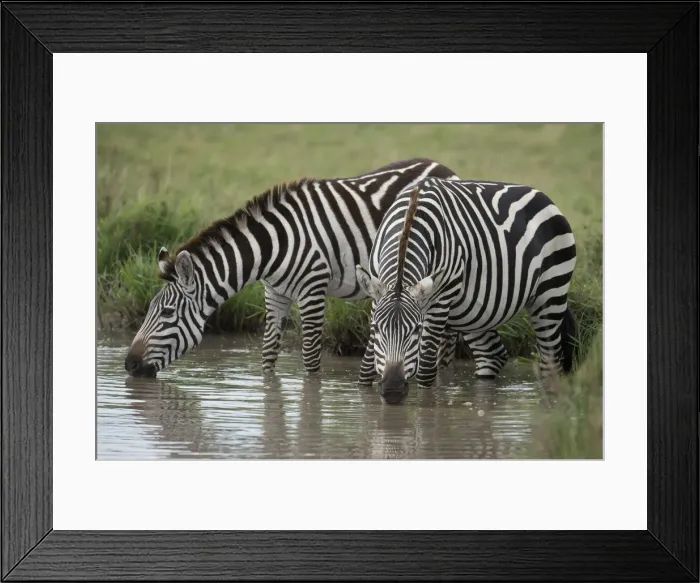 Framed Print : Picture No. 12019673 Framed Print : Picture No. 12019673