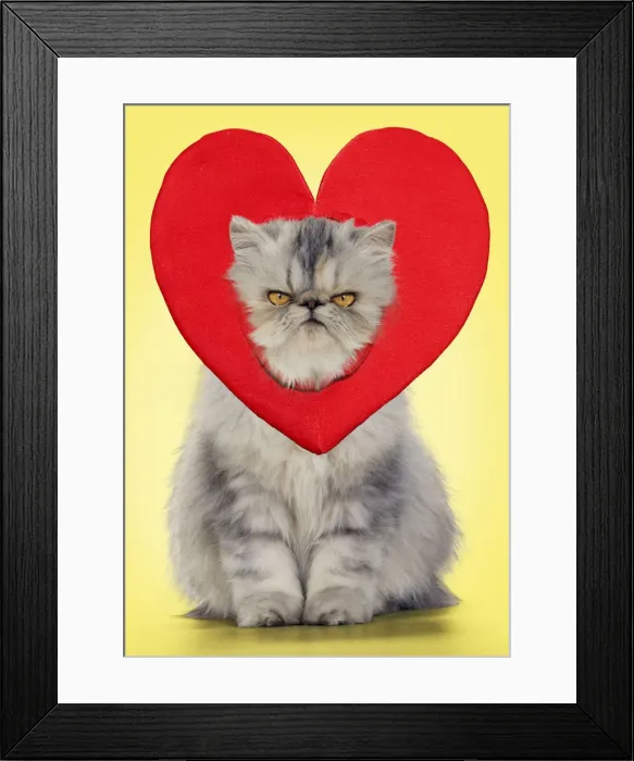 Framed Print : Picture No. 12020189 Framed Print : Picture No. 12020189