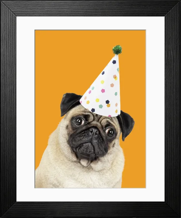 Framed Print : Picture No. 12020192 Framed Print : Picture No. 12020192