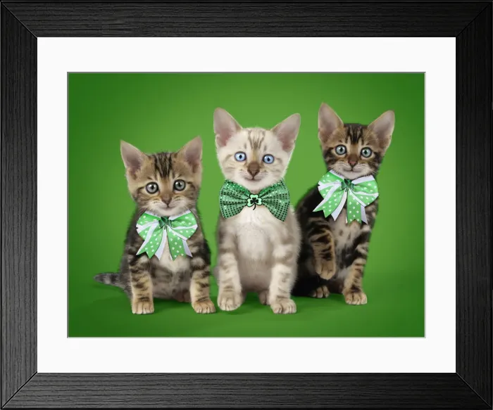 Framed Print : Picture No. 12020193 Framed Print : Picture No. 12020193
