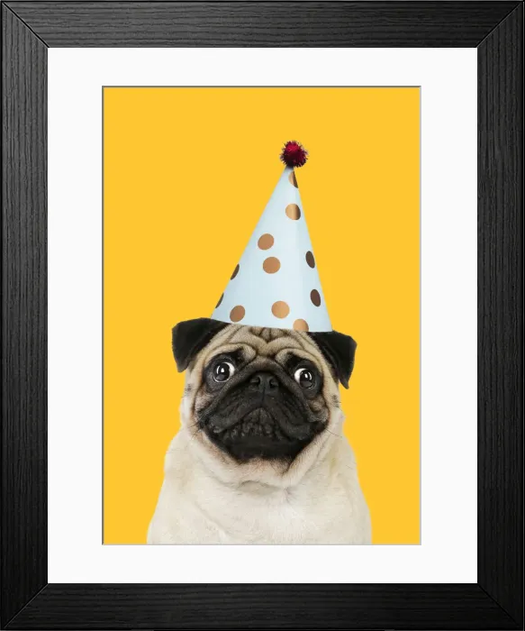 Framed Print : Picture No. 12020194 Framed Print : Picture No. 12020194