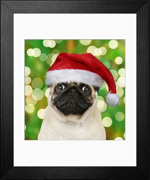 Framed Print : Picture No. 12020195 Framed Print : Picture No. 12020195