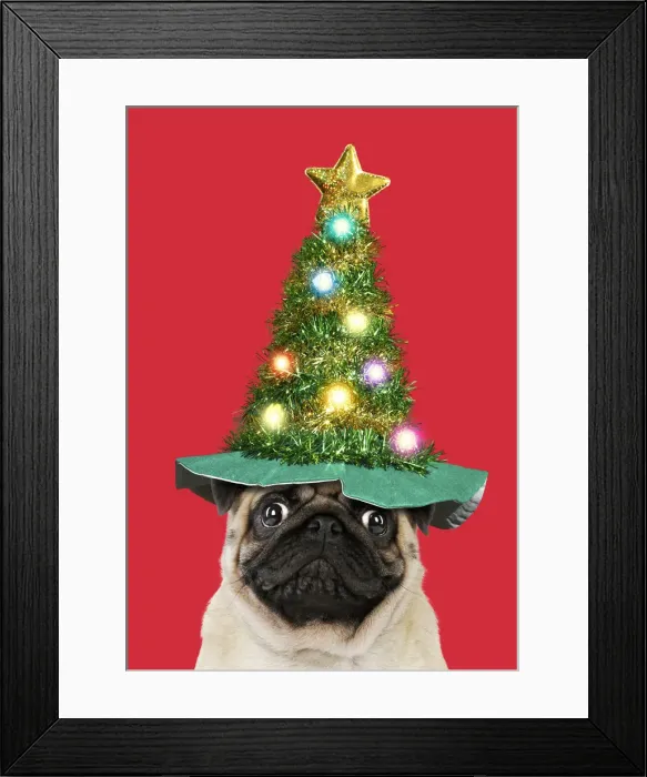 Framed Print : Picture No. 12020197 Framed Print : Picture No. 12020197