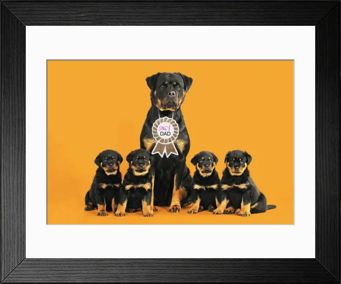 Framed Print : Picture No. 12020199 Framed Print : Picture No. 12020199