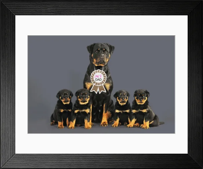 Framed Print : Picture No. 12020200 Framed Print : Picture No. 12020200