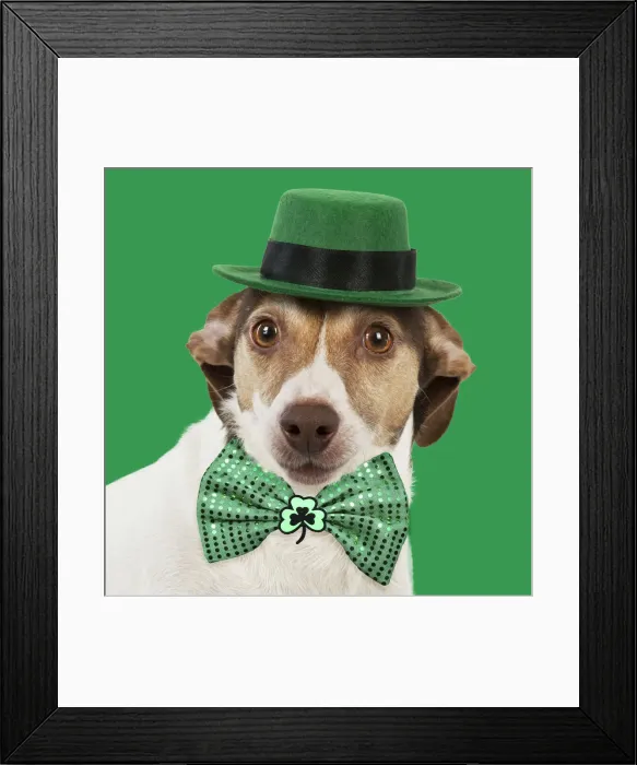 Framed Print : Picture No. 12020204 Framed Print : Picture No. 12020204