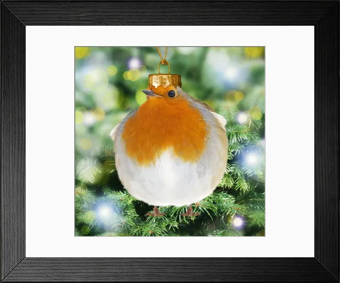 Framed Print : Picture No. 12020203 Framed Print : Picture No. 12020203