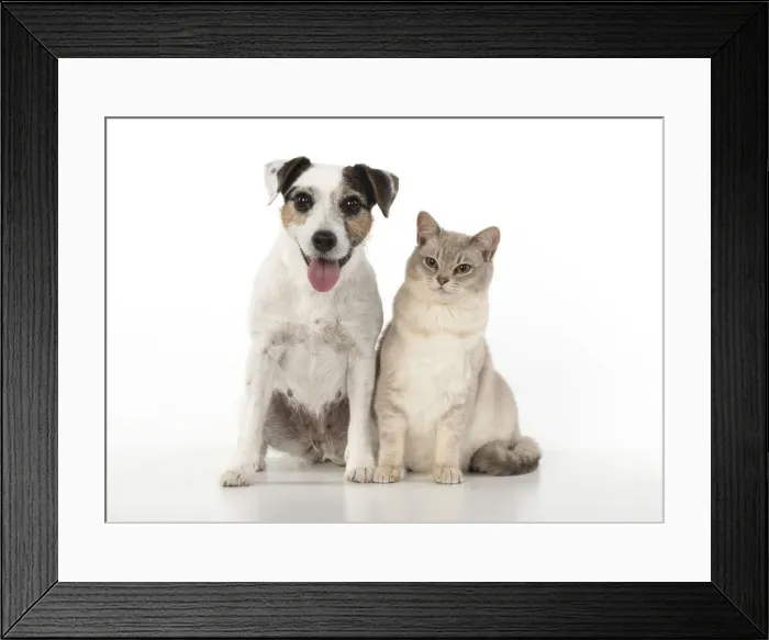 Framed Print : Picture No. 12020704 Framed Print : Picture No. 12020704