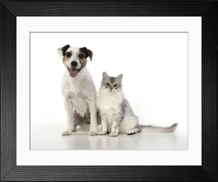 Framed Print : Picture No. 12020705 Framed Print : Picture No. 12020705