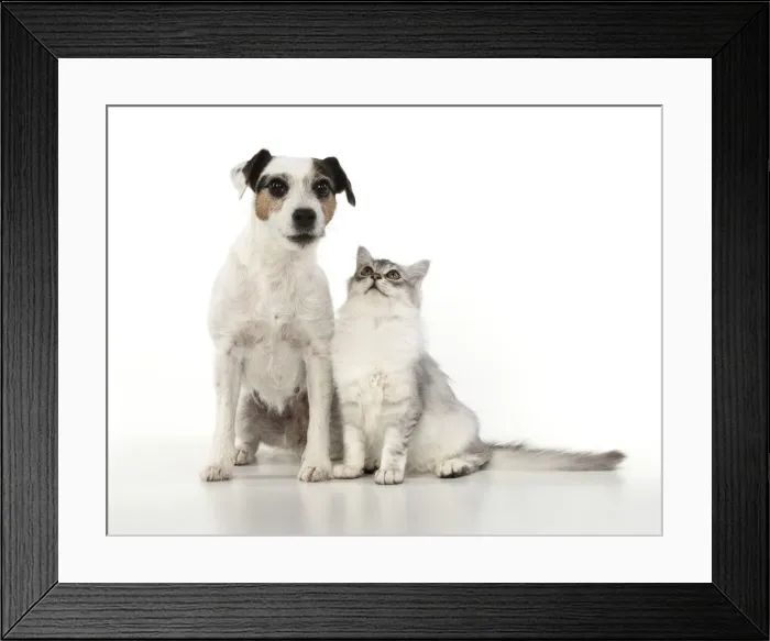 Framed Print : Picture No. 12020706 Framed Print : Picture No. 12020706