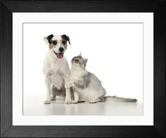 Framed Print : Picture No. 12020708 Framed Print : Picture No. 12020708