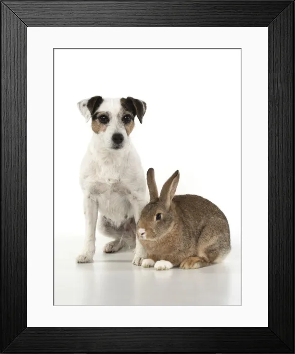 Framed Print : Picture No. 12020709 Framed Print : Picture No. 12020709