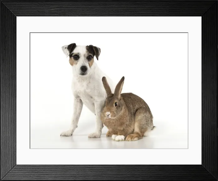 Framed Print : Picture No. 12020710 Framed Print : Picture No. 12020710