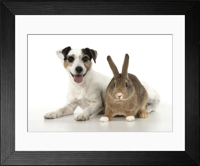 Framed Print : Picture No. 12020712 Framed Print : Picture No. 12020712
